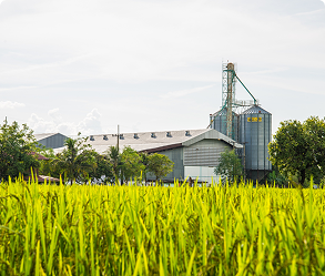 โรงงานเกษตรแปรรูป