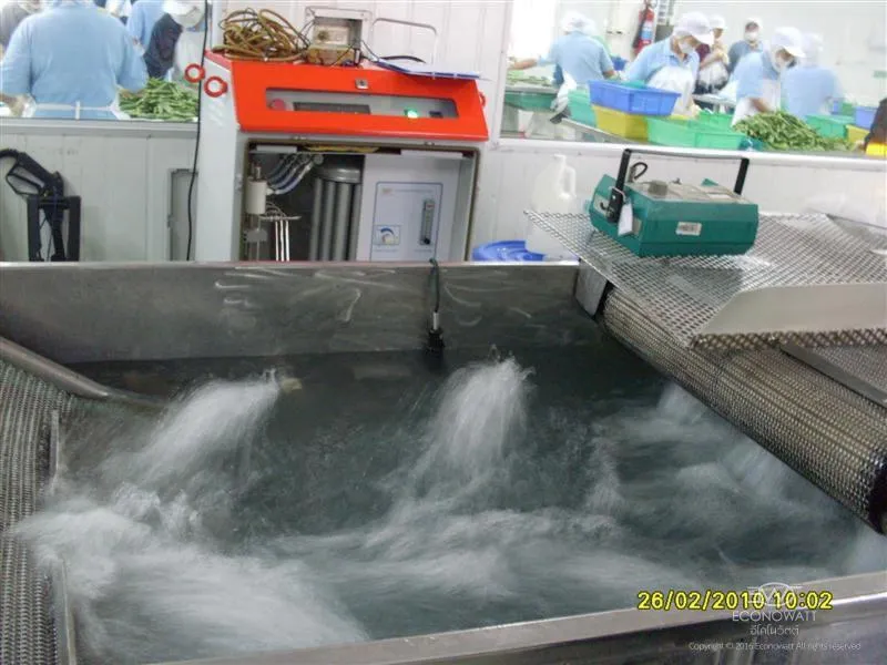 Chatchawal-Orchid-Co.-Ltd._1