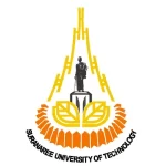 มหาวิทยาลัยเทคโนโลยีสุรนารี-300X300